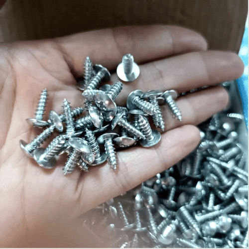 Vít đầu dù inox